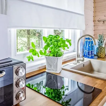 Pet Friendly In With Swimming Pool Holiday home Kolczewo